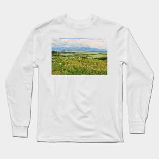 Mountain View Ranch Long Sleeve T-Shirt